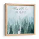 Little Grower Ii - Grace Popp | Cuadro decorativo de Canvas Lab