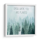 Little Grower Ii - Grace Popp | Cuadro decorativo de Canvas Lab