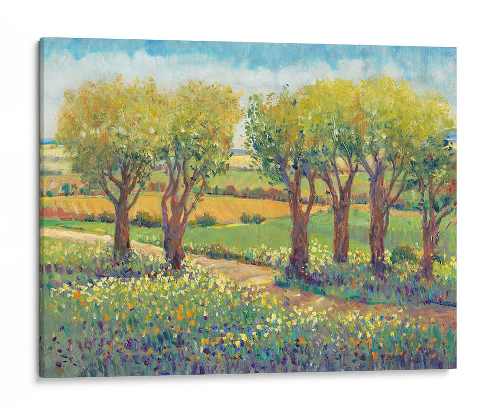 Camino De Jardín I - Tim OToole | Cuadro decorativo de Canvas Lab