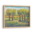 Camino De Jardín I - Tim OToole | Cuadro decorativo de Canvas Lab