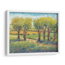 Camino De Jardín I - Tim OToole | Cuadro decorativo de Canvas Lab