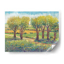 Camino De Jardín I - Tim OToole | Cuadro decorativo de Canvas Lab