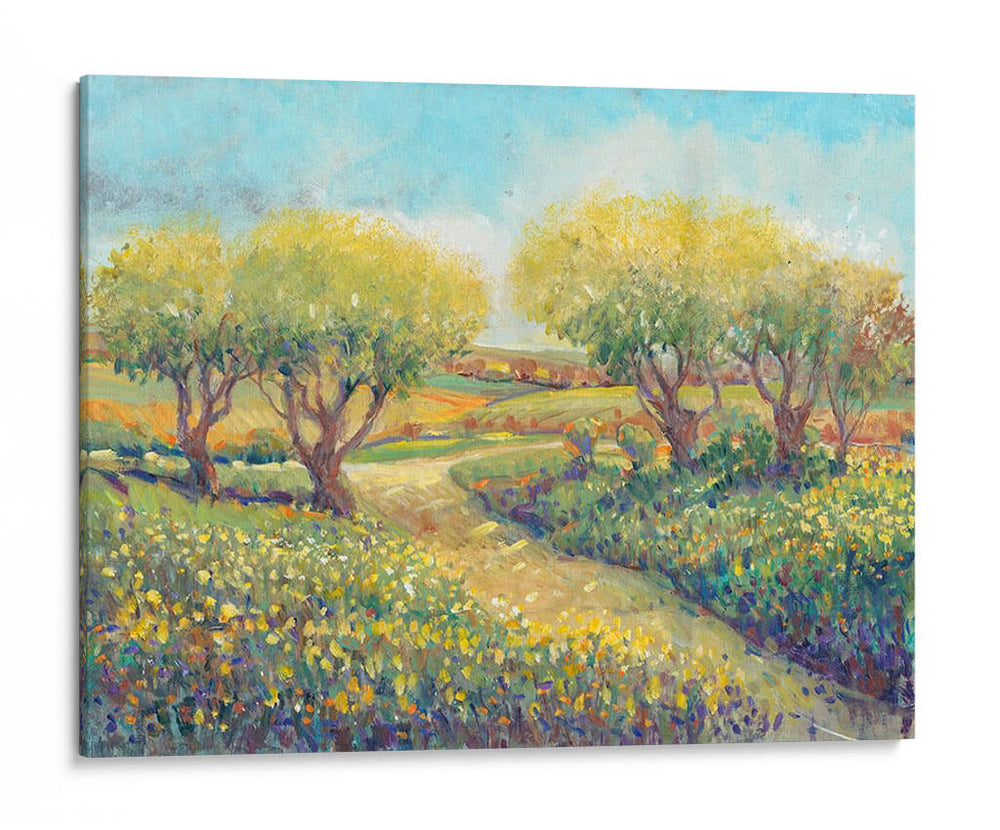 Camino De Jardín Ii - Tim OToole | Cuadro decorativo de Canvas Lab