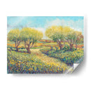 Camino De Jardín Ii - Tim OToole | Cuadro decorativo de Canvas Lab