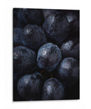 Ciruelas frías | Cuadro decorativo de Canvas Lab