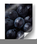 Ciruelas frías | Cuadro decorativo de Canvas Lab