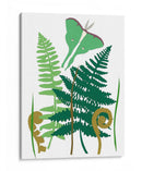 Fern Fantasy Garden I - Alicia Ludwig | Cuadro decorativo de Canvas Lab