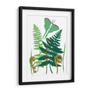 Fern Fantasy Garden I - Alicia Ludwig | Cuadro decorativo de Canvas Lab