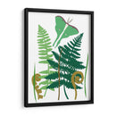 Fern Fantasy Garden I - Alicia Ludwig | Cuadro decorativo de Canvas Lab