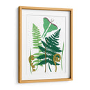 Fern Fantasy Garden I - Alicia Ludwig | Cuadro decorativo de Canvas Lab