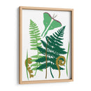 Fern Fantasy Garden I - Alicia Ludwig | Cuadro decorativo de Canvas Lab