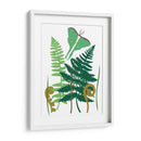 Fern Fantasy Garden I - Alicia Ludwig | Cuadro decorativo de Canvas Lab