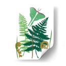 Fern Fantasy Garden I - Alicia Ludwig | Cuadro decorativo de Canvas Lab