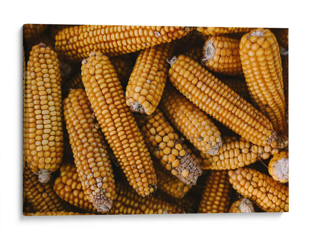 Delicatessen dorado | Cuadro decorativo de Canvas Lab