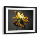 Flores De Estudio Iii - James McLoughlin | Cuadro decorativo de Canvas Lab