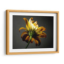 Flores De Estudio Iii - James McLoughlin | Cuadro decorativo de Canvas Lab