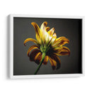 Flores De Estudio Iii - James McLoughlin | Cuadro decorativo de Canvas Lab