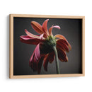Flores De Estudio Iv - James McLoughlin | Cuadro decorativo de Canvas Lab