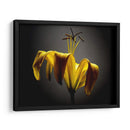 Flores De Estudio V - James McLoughlin | Cuadro decorativo de Canvas Lab