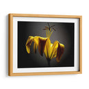 Flores De Estudio V - James McLoughlin | Cuadro decorativo de Canvas Lab