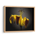 Flores De Estudio V - James McLoughlin | Cuadro decorativo de Canvas Lab