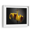 Flores De Estudio V - James McLoughlin | Cuadro decorativo de Canvas Lab