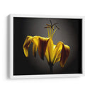 Flores De Estudio V - James McLoughlin | Cuadro decorativo de Canvas Lab