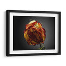 Flores De Estudio Vi - James McLoughlin | Cuadro decorativo de Canvas Lab