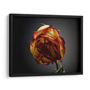 Flores De Estudio Vi - James McLoughlin | Cuadro decorativo de Canvas Lab