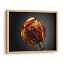 Flores De Estudio Vi - James McLoughlin | Cuadro decorativo de Canvas Lab