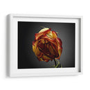 Flores De Estudio Vi - James McLoughlin | Cuadro decorativo de Canvas Lab