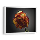 Flores De Estudio Vi - James McLoughlin | Cuadro decorativo de Canvas Lab