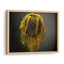 Flores De Estudio Vii - James McLoughlin | Cuadro decorativo de Canvas Lab