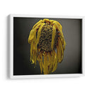 Flores De Estudio Vii - James McLoughlin | Cuadro decorativo de Canvas Lab