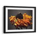 Flores De Estudio Viii - James McLoughlin | Cuadro decorativo de Canvas Lab