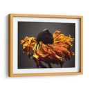 Flores De Estudio Viii - James McLoughlin | Cuadro decorativo de Canvas Lab