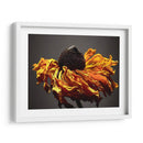 Flores De Estudio Viii - James McLoughlin | Cuadro decorativo de Canvas Lab