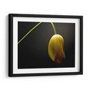 Flores De Estudio Ix - James McLoughlin | Cuadro decorativo de Canvas Lab