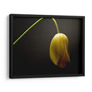 Flores De Estudio Ix - James McLoughlin | Cuadro decorativo de Canvas Lab