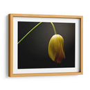 Flores De Estudio Ix - James McLoughlin | Cuadro decorativo de Canvas Lab