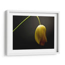 Flores De Estudio Ix - James McLoughlin | Cuadro decorativo de Canvas Lab