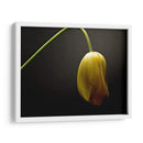 Cuadro decorativo de Canvas Lab