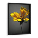 Flores De Estudio X - James McLoughlin | Cuadro decorativo de Canvas Lab