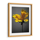 Flores De Estudio X - James McLoughlin | Cuadro decorativo de Canvas Lab