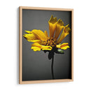 Flores De Estudio X - James McLoughlin | Cuadro decorativo de Canvas Lab