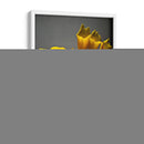 Flores De Estudio X - James McLoughlin | Cuadro decorativo de Canvas Lab