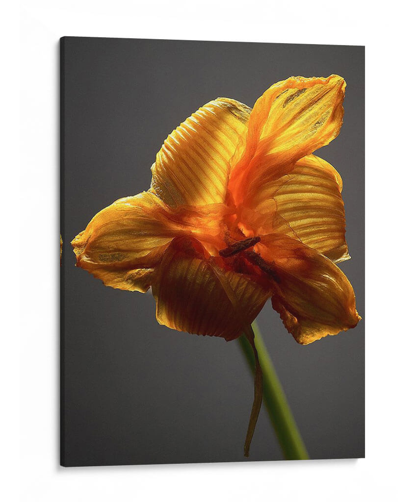 Flores De Estudio Xi - James McLoughlin | Cuadro decorativo de Canvas Lab