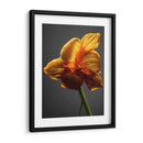 Flores De Estudio Xi - James McLoughlin | Cuadro decorativo de Canvas Lab