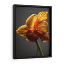 Flores De Estudio Xi - James McLoughlin | Cuadro decorativo de Canvas Lab
