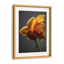 Flores De Estudio Xi - James McLoughlin | Cuadro decorativo de Canvas Lab